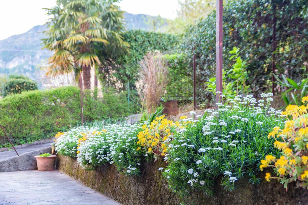 Casa Giulia Villa Lierna Exterior foto